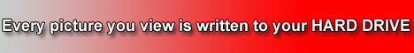 banner2